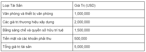 Ví dụ về phương pháp thẩm định giá doanh nghiệp bằng phương pháp giá trị tài sản