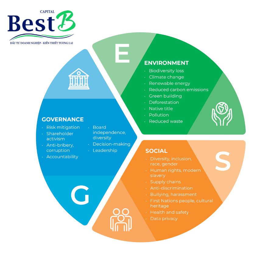 Tiêu chuẩn ESG là gì? Tầm quan trọng, thách thức và 3 trọng tâm doanh nghiệp cần nắm vững khi chuyển đổi theo xu hướng bền vững